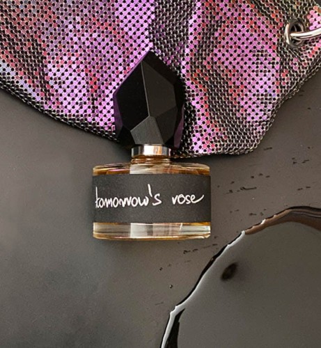 Produkt 280 x 303 tomorrows_rose_2.jpg