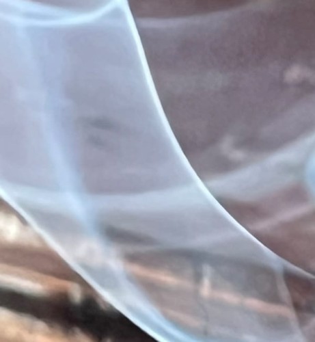 Produkt 280 x 303 FLOWERS 3-.jpg