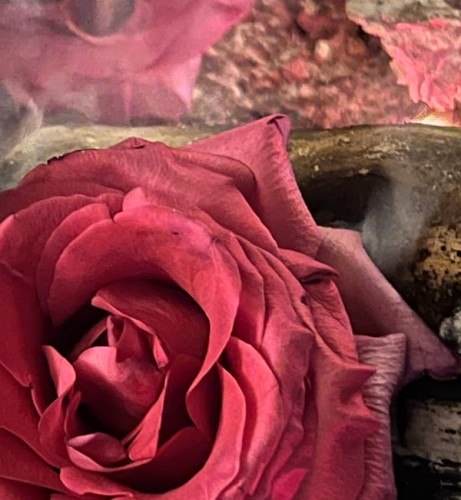 Produkt 280 x 303 FLOWERS 4-.jpg