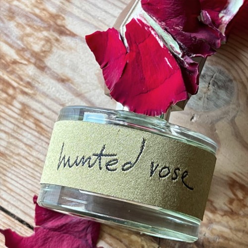 yde hunted rose-3.jpg