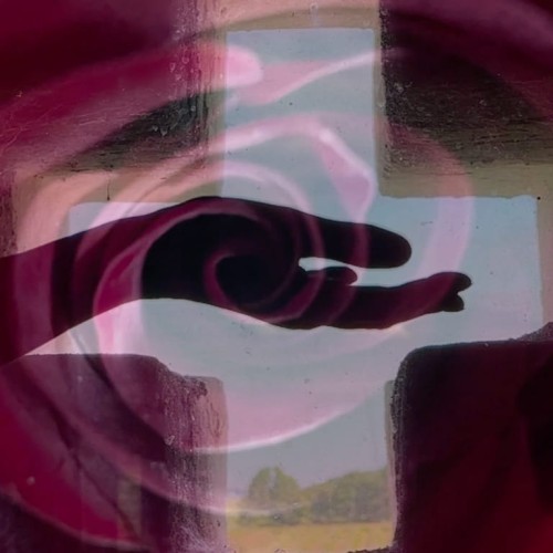 yde hunted rose 6.jpg