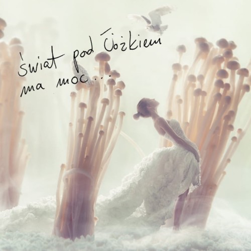 yde UNDER THE BED 3.jpg